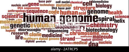 Humangenomwort Wolkenkonzept. Collage aus Wörtern über das menschliche Genom. Vektorgrafiken Stock Vektor