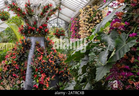 Eine Darstellung tropischer Blumen in Form eines indonesischen Vulkans beim Kew Orchid Festival 2020: Indonesien Stockfoto