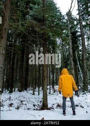 Mann in einer hellgelben Jacke. Naturwald. Stockfoto