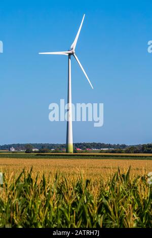 Windturbinen auf Ackerland mit Maisfeld im Vordergrund; Saint Remi, Quebec, Kanada Stockfoto