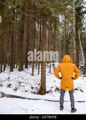 Mann in einer hellgelben Jacke. Naturwald. Stockfoto