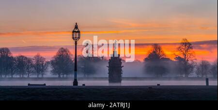 Bushey Park an einem nebligen Morgen während eines dramatischen Sonnenaufgangs; London, England Stockfoto