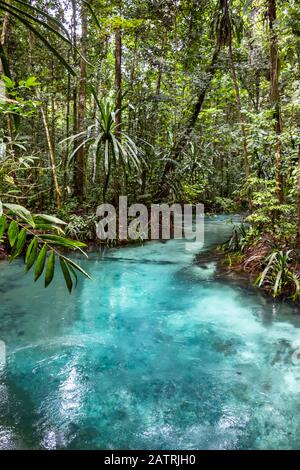 Kali Biru (Blue River); West Papua, Indonesien Stockfoto