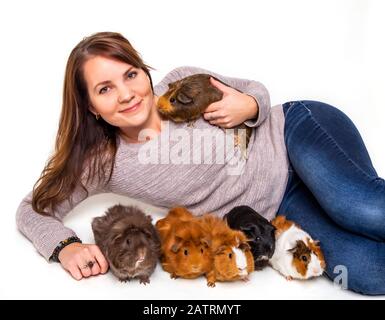 Eine Frau posiert mit ihren Meerschweinchen (Cavia porcellus) auf weißem Hintergrund; Studio Stockfoto