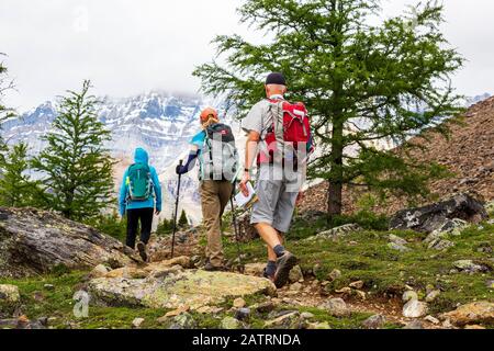 Wanderer auf einem felsigen Bergpfad mit einer bewölkten Bergkette im Hintergrund, Yoho National Park; Field, British Columbia, Kanada Stockfoto