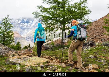 Zwei weibliche Wanderer auf einem felsigen Bergpfad mit einer bewölkten Bergkette im Hintergrund, Yoho Nationalpark; Feld, British Columbia, Kanada Stockfoto