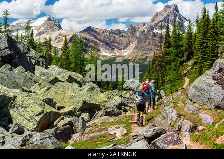 Wanderer auf einem felsigen Bergpfad mit Bergkette in der Ferne, Yoho National Park; Field, British Columbia, Kanada Stockfoto