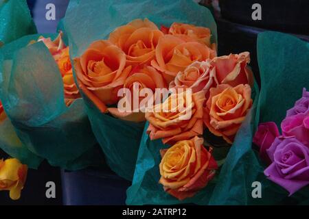 Blumen im Blumenmarkt von New York City Stockfoto