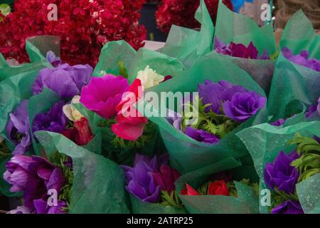 Blumen im Blumenmarkt von New York City Stockfoto