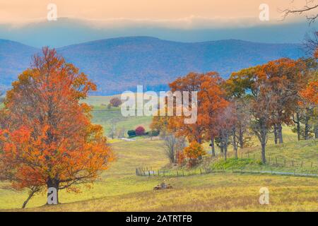 Farm in Swoope, Shenandoah, Valley, Virginia, USA Stockfoto