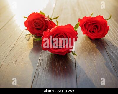 Blumenstrauß aus frischen Rosen, blumenheller Hintergrund. Stockfoto