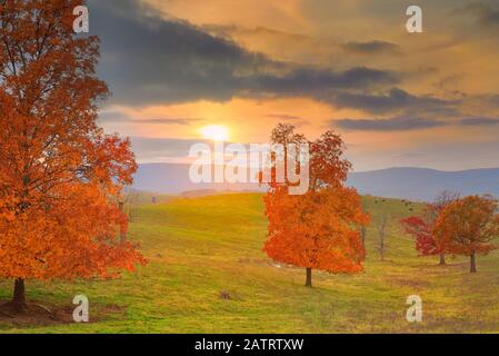 Farm in Swoope, Shenandoah, Valley, Virginia, USA Stockfoto