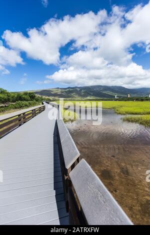 Kealia Coastal Boardwalk über die Salzteiche für die Tier- und Vogelbeobachtung im Kealia Pond National Wildlife Refuge, einem Öko-Tourismus, der... Stockfoto