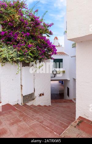Straße mit traditionellen spanischen Häusern, die mit Blumen dekoriert sind in Binibeca Nou Dorf. Menorca. Spanien Stockfoto