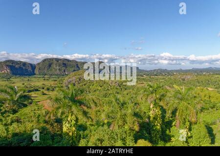 Grüne karibische Hügel Panorama-Panorama in Vinales, Pinar Del Rio, Kuba Stockfoto