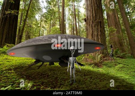 UFO-Waldlandung mit grauem Alien draußen. Ein Crew-Mitglied tritt in den Hintergrund. Stockfoto