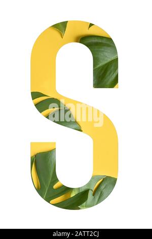 Blumenschrift Alphabet S aus Echten lebendigen Blumen monstera auf gelbem Hintergrund mit Papier geschnitten Form des Briefes. Sammlung von Flora-Schrift für Ihre Uniq