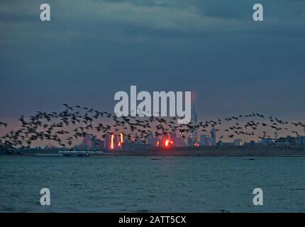 Brent Flugbewegung vor dem Hintergrund der Skyline von NYC Stockfoto