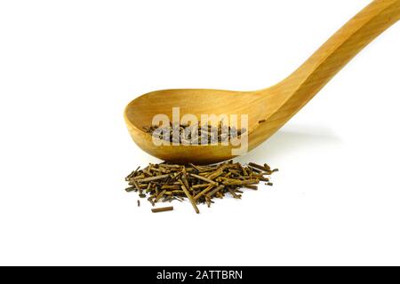 Grüner japanischer Kukicha-Tee (Twig oder Stiel oder Stick), der bei makrobiotischer Ernährung beliebt ist. Kukicha auf einem Holzlöffel. Stockfoto