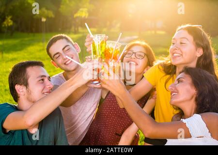 Junge fröhliche Freunde, die während der Picknickparty mit Cocktails im Park toben. Nahgruppenporträt aus hohem Winkel. Stockfoto