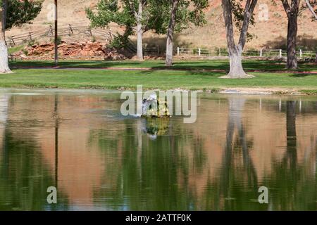 An einem sonnigen Tag im Hot Springs State Park in Thermopolis, Wyoming, strömt heißes Mineralwasser aus einem kleinen Brunnen in einem großen Pool. Stockfoto