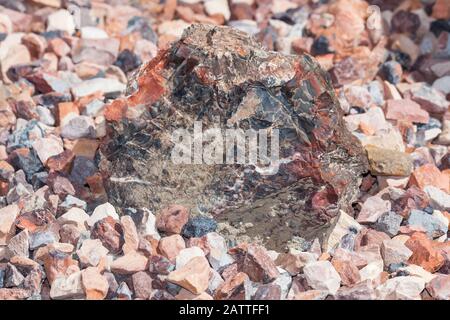 Ein Stück alten versteinerten Holzes, das über Millionen von Jahren zu farbenfrohem Gestein und Kristall umgestaltet wurde. Stockfoto