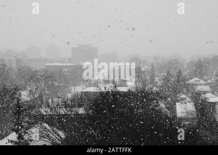 Enorme Schneeflocken, die während eines Schneesturms von meinem Balkon, Ottawa, Ontario, Kanada, hereinfallen. Stockfoto