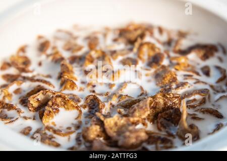 Mit Schokolade gewürzte Cornflakes mit Milch in einer Schüssel Stockfoto