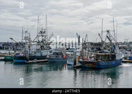 Kommerzielle Fischerboote, die im Hafen von San Diego angedockt sind. Fish Harbor Pier Befindet Sich im Stadtzentrum von San Diego neben dem Hafendorf. Kalifornien, USA. Januar 2020 Stockfoto