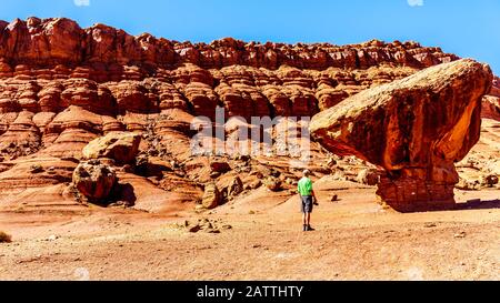 Leitender Mann, der auf dem Balanced Rock Toadstool in der Nähe von Lee's Ferry im Glen Canyon National Recreation Area im Marble Canyon in der Nähe von Page, Arizona, USA, wandert Stockfoto