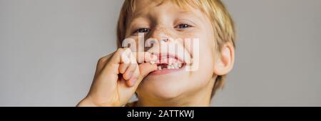 Der kaukasische Junge der Litle hält einen abgesenkten Milchzahn zwischen seinen Fingern und lacht mit Blick auf das lange FORMAT des KAMERA-BANNERS Stockfoto