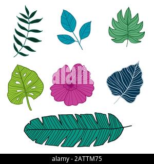 Set aus botanischen Vektorelementen, tropischen Blättern und Blumen auf weißem Hintergrund. Handgezeichneter Stil - Vektorgrafiken Stock Vektor