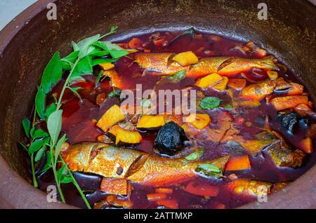 Gekochte Sardinen Curry mit Kokosnuss garniert mit Curry-Blättern in einem Tontopf bereit serviert zu werden. Stockfoto