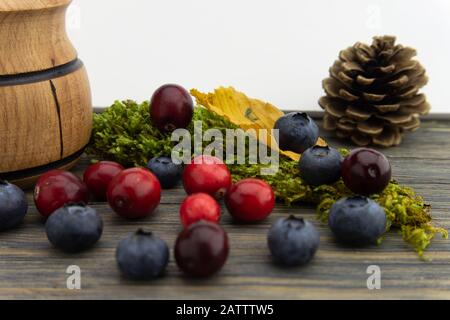 Herbst- oder Herbststillleben mit Blaubeeren und Preiselbeeren vor einem kleinen Holztopf, Kiefernkegel und Moos mit einem bunten gelben Blatt und Kopienspende Stockfoto