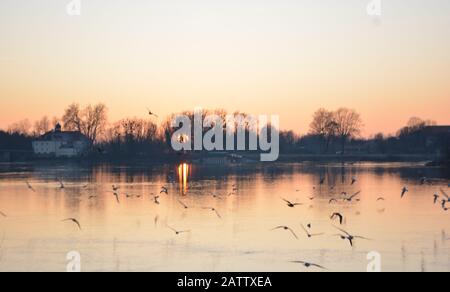 Vögel fliegen im Sonnenuntergang in Schärding, Österreich Stockfoto