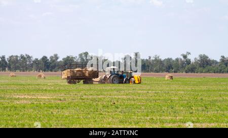 Einen landwirtschaftlichen Traktor Lader lasten Heuballen in einen Traktor Anhänger auf dem Feld Stockfoto
