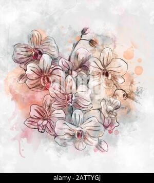 Frühjahr- und Sommer-Blumen-Kollektion - Digitales Aquarell und Pastellfarben - Orchideenskizze Stockfoto