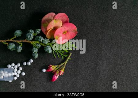 Nahaufnahme der verstreuten, homöopathischen Medikamente, bestehend aus den Pillen und einer Flasche mit Blumen und grünen Sträuchern auf schwarzem Hintergrund Stockfoto