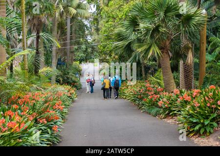 Sydney, Australien - 10. Oktober 2014: Touristen in den Royal Botanic Gardens in Sydney Stockfoto