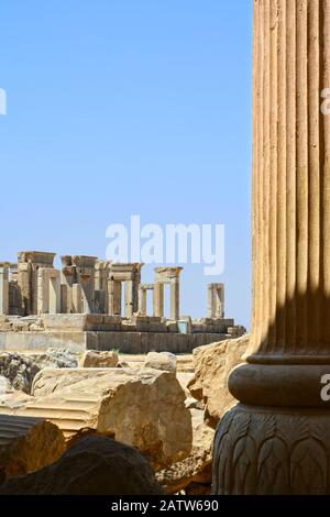 Eine Säule der Apadana-Halle von Persepolis im Vordergrund, mit teilweisem Blick auf den Palast von Darius in der Ferne. Stockfoto