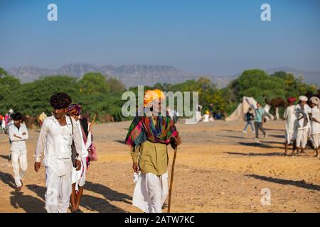 Pushkar, Rajashtan /Indien - 07/11/2019. Indische Rajasthani-Kultur .ländlicher Alter Mann Mit Traditionellem Kleid und gelbem Turban (safa) und Stick in Der Hand Stockfoto