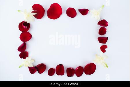 Ein Rahmen aus roten Rosenblättern und weißen, auf weißem Grund angeordneten, tuberosen Knospen Stockfoto