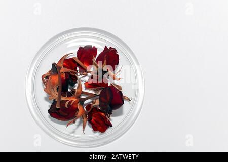 Glasplatte mit getrockneten roten Rosen isoliert auf weißem Grund. Verwelkte Trockenblumen mit Kopierraum. Romantische Dekoration mit Draufsicht Stockfoto