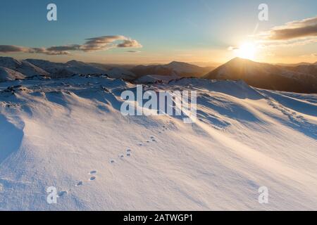 Berghare Fußabdrücke im Schnee auf der Bergkuppe in Glen Coe, Lochaber, Schottland, Großbritannien.Februar Stockfoto