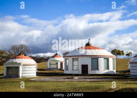 Ger auf dem Grasland Stockfoto