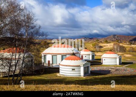 Ger auf dem Grasland Stockfoto