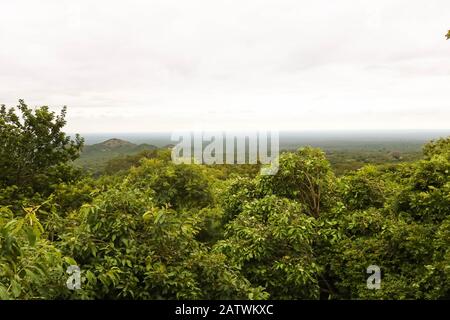 Malerische Aussicht auf den Wald in afrika Stockfoto