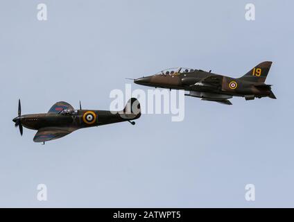 Hawk und Spitfire Tarnpaar Stockfoto