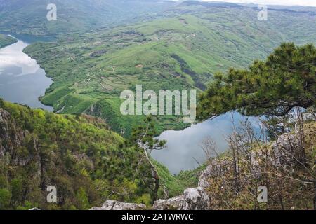 Landschaft auf dem Tara Berg Stockfoto