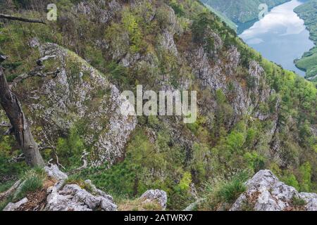 Landschaft auf dem Tara Berg Stockfoto